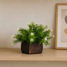 Artificial Flowering Plant Threadleaf White in Hexagon Pot