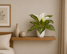 Artificial Calla Lily Flower with Plastic Pot (White, 1 Piece), Artificial Flora