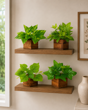 fancymart Artificial Leaves Plant in Small Wood Pot - 12cm Height - Pack of 4 - Home & Office Decor Elegant Potted Plant for Tabletop/Shelves Enhancement