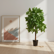 Artificial Real Touch Plant without Pot (Height - 60 cm)