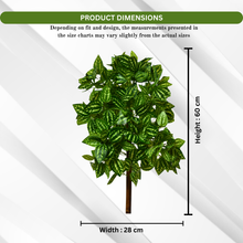 Artificial Real Touch Plant without Pot (Height - 60 cm)