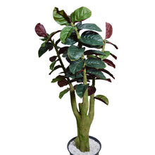 Artificial Green Rubber Plant 4 feet Natural look  Stem (Without pot)