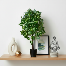 Artificial Real Touch Plant without Pot (Height - 60 cm)