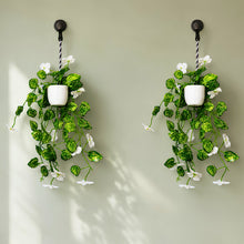 Wisteria cutting on line bail set of 2 hanging pot bail
