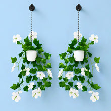 blossom cutting on line bail set of 2 hanging pot bail