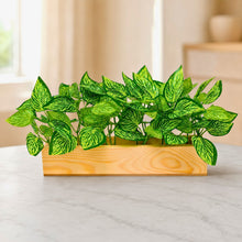 Real touch leaves in 6 parrot dandi (30 leaves) in 12 inch pine planter