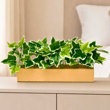 Real touch leaves in 6 parrot dandi (30 leaves) in 12 inch pine planter
