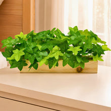 Real touch leaves in 6 parrot dandi (30 leaves) in 12 inch pine planter