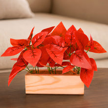 Real touch leaves in 3 parrot dandi (15 leaves) in 6 inch pine planter