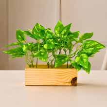 Real touch leaves in 3 parrot dandi (15 leaves) in 6 inch pine planter