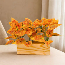 Real touch leaves in 3 parrot dandi (15 leaves) in 6 inch pine planter