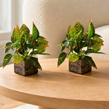set of 2 real touch leaves in parrot 2 sticks in medium printed multicolor dabbi