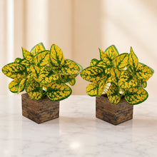 set of 2 real touch leaves in parrot 2 sticks in medium printed multicolor dabbi