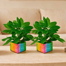 set of 2 real touch leaves in parrot 2 sticks in medium printed multicolor dabbi