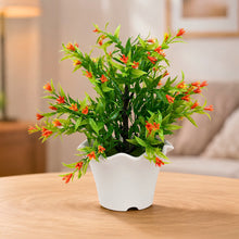 Grass flower in blossom pot n 21 pointer