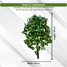 Artificial Real Touch Plant without Pot (Height - 60 cm)