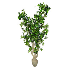 Artificial Plant without Pot - 60- Height (6 Feet) 18