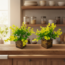 new dibi pot set of two