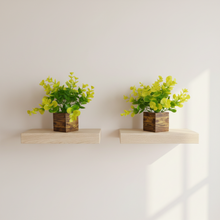 new dibi pot set of two