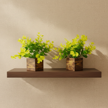 new dibi pot set of two
