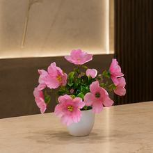single pc small glassi pot 10 blossom cutting flowers