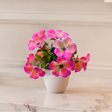 single pc big  glassi pot 10 printed blossom cutting flowers