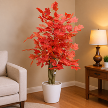 Mapple tree without pot (Height : 6 Feets)