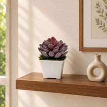 Artificial Succulent jewel leaf plant in small pot ( Height 11 cm )