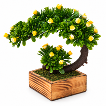 Bend Artificial Bonsai Plant in Wood Square Pot