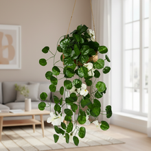 DecoreBugs Presents: Artificial Blossom Flowers with Wooden Pot, Hanging Plants, Leaves, and Creepers for Living Room Decoration, Home Decor and Beautify Your Wall (White) (Height 40 CM)