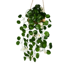 DecoreBugs Presents: Artificial Blossom Flowers with Wooden Pot, Hanging Plants, Leaves, and Creepers for Living Room Decoration, Home Decor and Beautify Your Wall (White) (Height 40 CM)