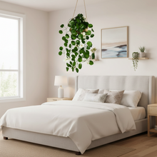 DecoreBugs Presents: Artificial Blossom Flowers with Wooden Pot, Hanging Plants, Leaves, and Creepers for Living Room Decoration, Home Decor and Beautify Your Wall (White) (Height 40 CM)