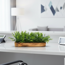 Artificial Plant Spery Grass in Wooden Tray ( Height : 15 cm x Width : 30 cm)