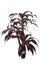 Artificial Dracaena  set of 3 plants  5 feet height