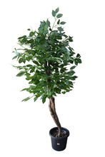 Artificial Ficus Tree Green plant 5 feet height
