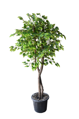 Artificial Ficus Tree Green plant 5 feet height