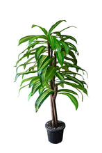 Artificial Dracaena  plant  5 feet height