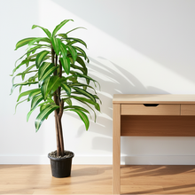 Artificial Dracaena  plant  5 feet height
