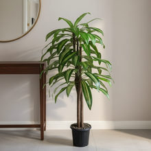 Artificial Dracaena  plant  5 feet height