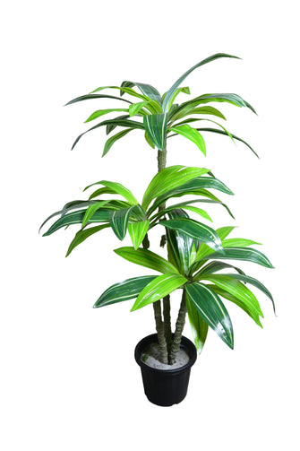 Artificial Dracaena set of 3 plant  5 feet height