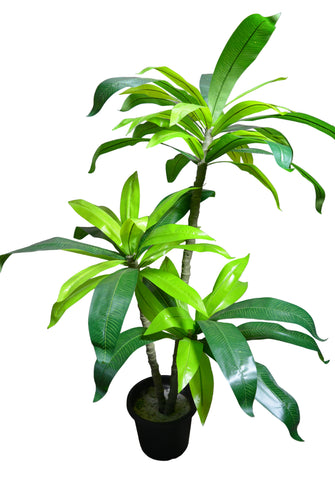 Artificial Dracaena set of 3 plant  5 feet height