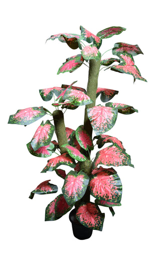 Artificial plant colored variegated croton leaves set of 3 plants  5 feet height
