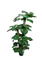 Artificial plant colored variegated croton leaves set of 3 plants  5 feet height