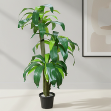 Artificial Dracaena  set of 3 plants  5 feet height