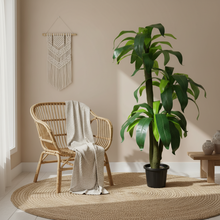 Artificial Dracaena  set of 3 plants  5 feet height