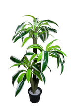 Artificial Dracaena  set of 3 plants  5 feet height