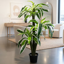 Artificial Dracaena  set of 3 plants  5 feet height