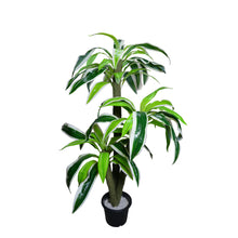 Artificial Dracaena  set of 3 plants  5 feet height