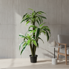 Artificial Dracaena  set of 3 plants  5 feet height