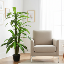 Artificial Dracaena  set of 3 plants  5 feet height